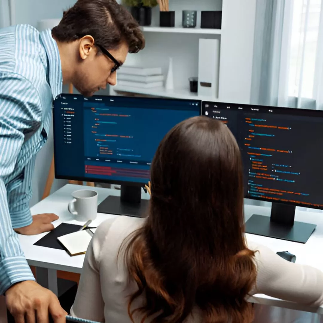 custom software development
